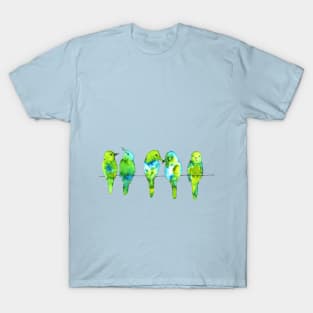 Five birds on a wire T-Shirt